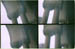 columns