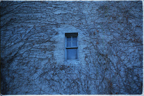 window